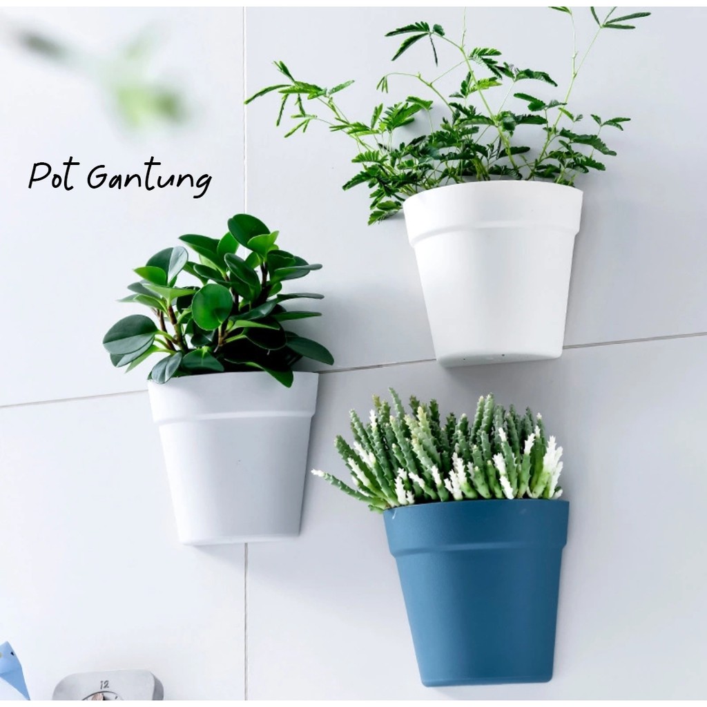 Detail Pot Gantung Dinding Nomer 33