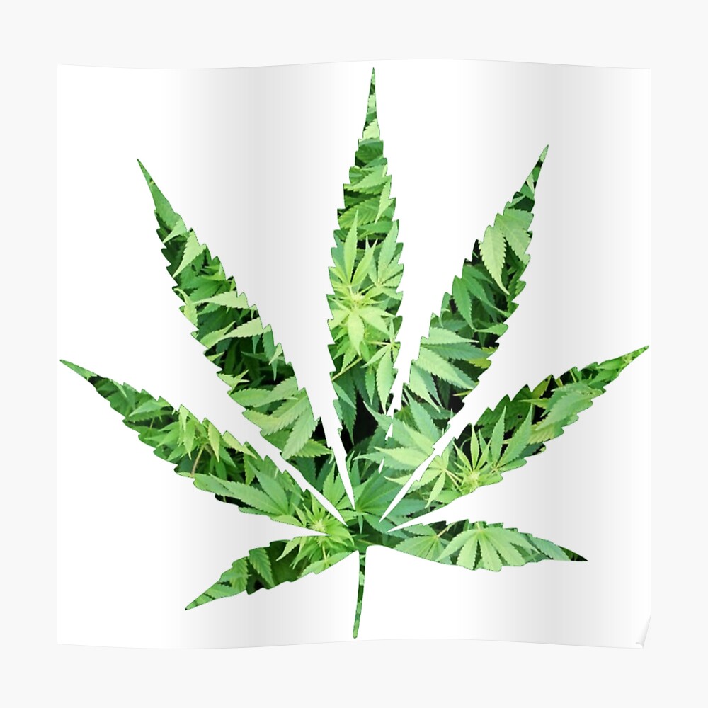 Detail Pot Leaf Backgrounds Nomer 41
