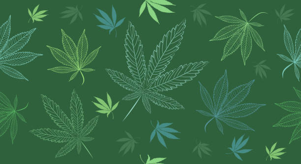 Pot Leaf Backround - KibrisPDR