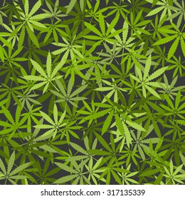 Detail Pot Leaf Backround Nomer 2