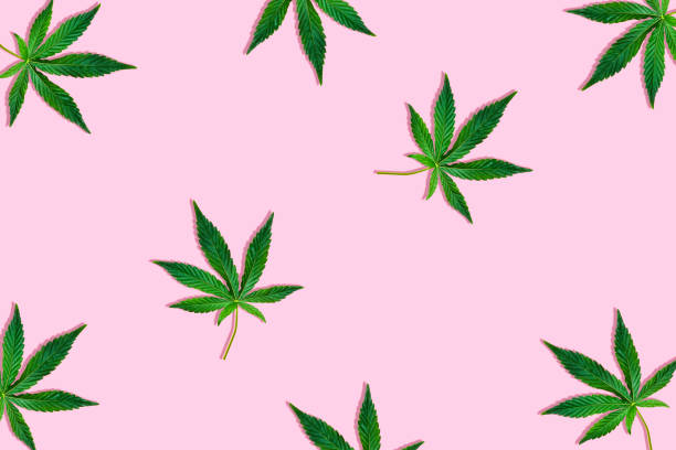 Detail Pot Leaf Backround Nomer 32