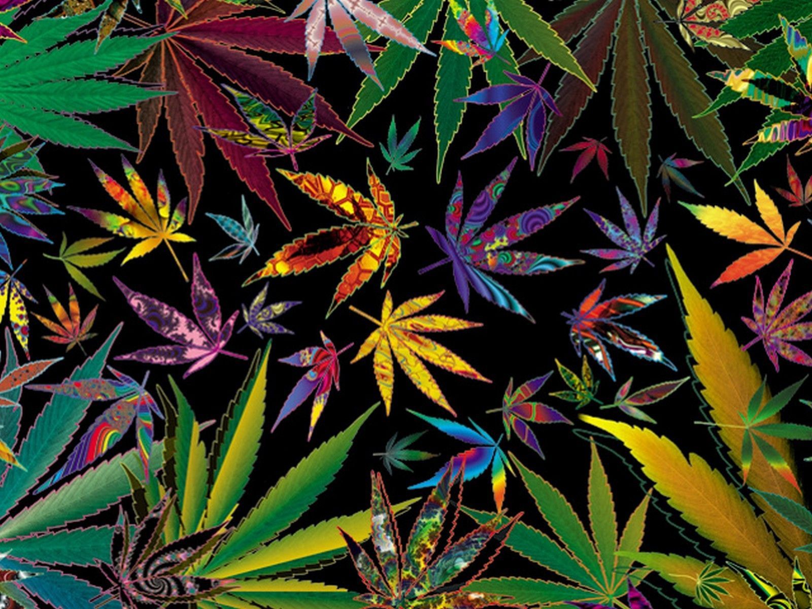 Detail Pot Leaf Backround Nomer 34