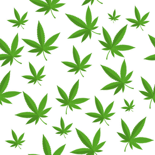 Detail Pot Leaf Backround Nomer 5