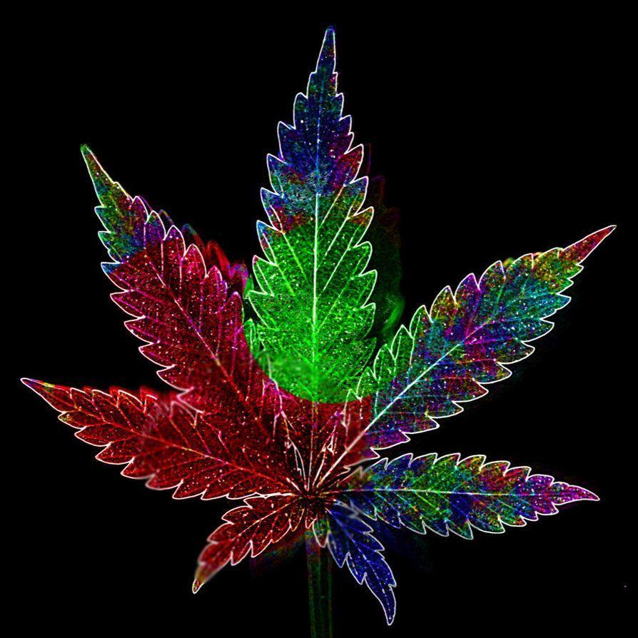 Detail Pot Leaf Backround Nomer 43