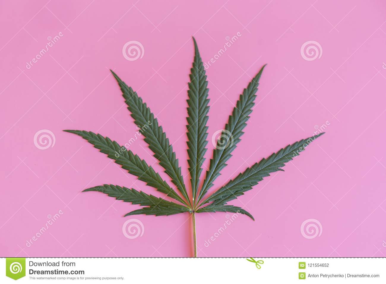 Detail Pot Leaf Backround Nomer 56