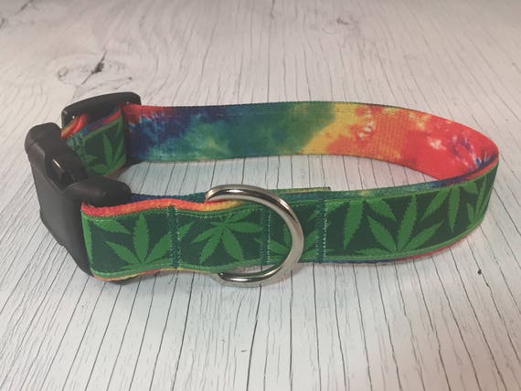 Detail Pot Leaf Dog Collar Nomer 22