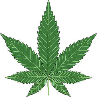 Detail Pot Leaf Image Free Nomer 5