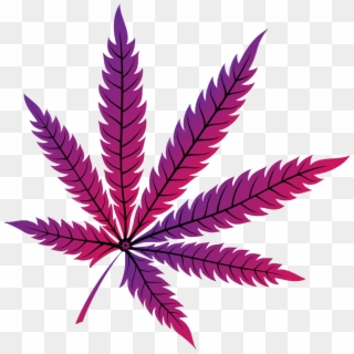 Detail Pot Leaf No Background Nomer 24
