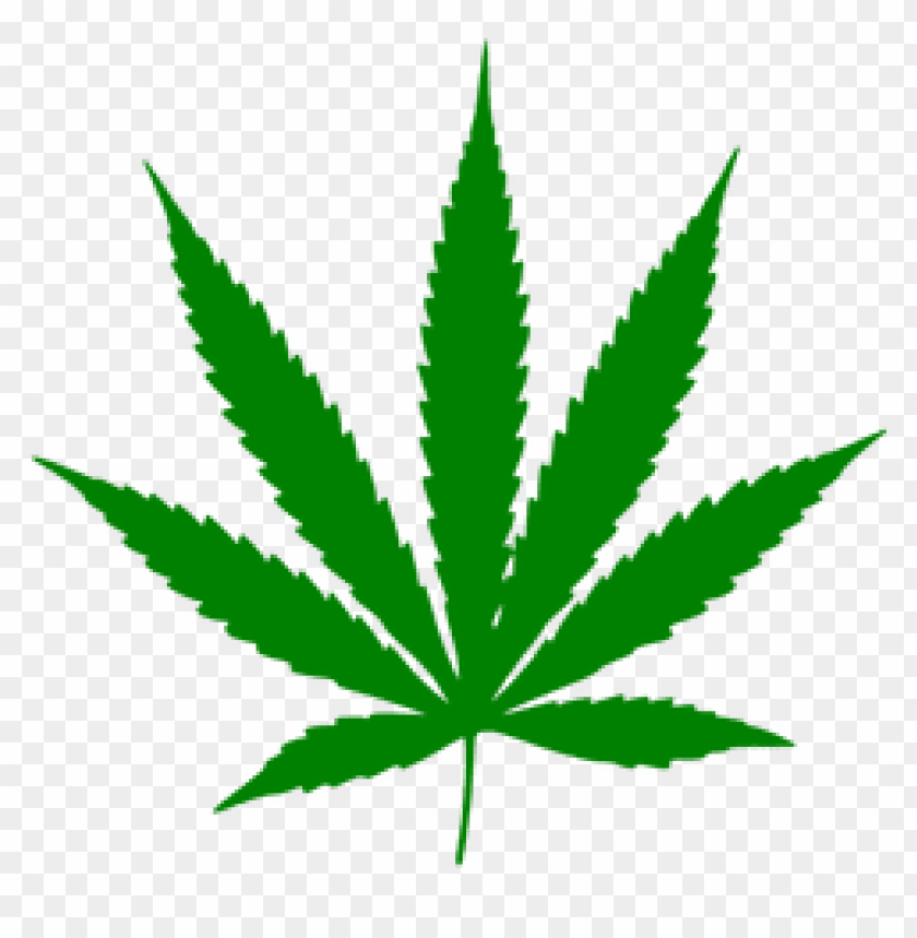 Detail Pot Leaf No Background Nomer 3