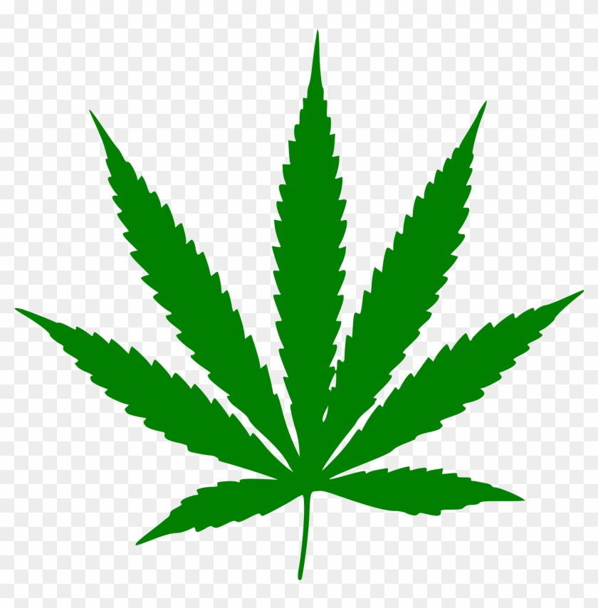 Detail Pot Leaf No Background Nomer 30