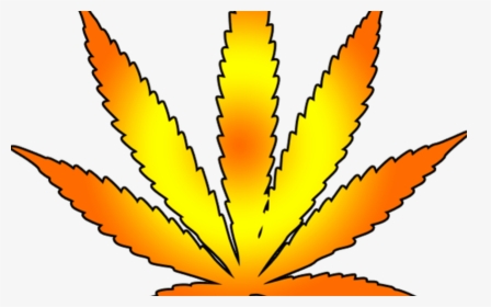 Detail Pot Leaf No Background Nomer 44