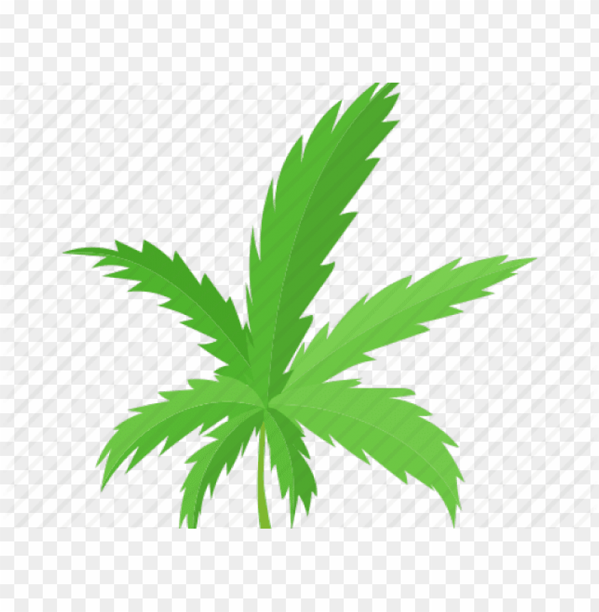 Detail Pot Leaf No Background Nomer 54