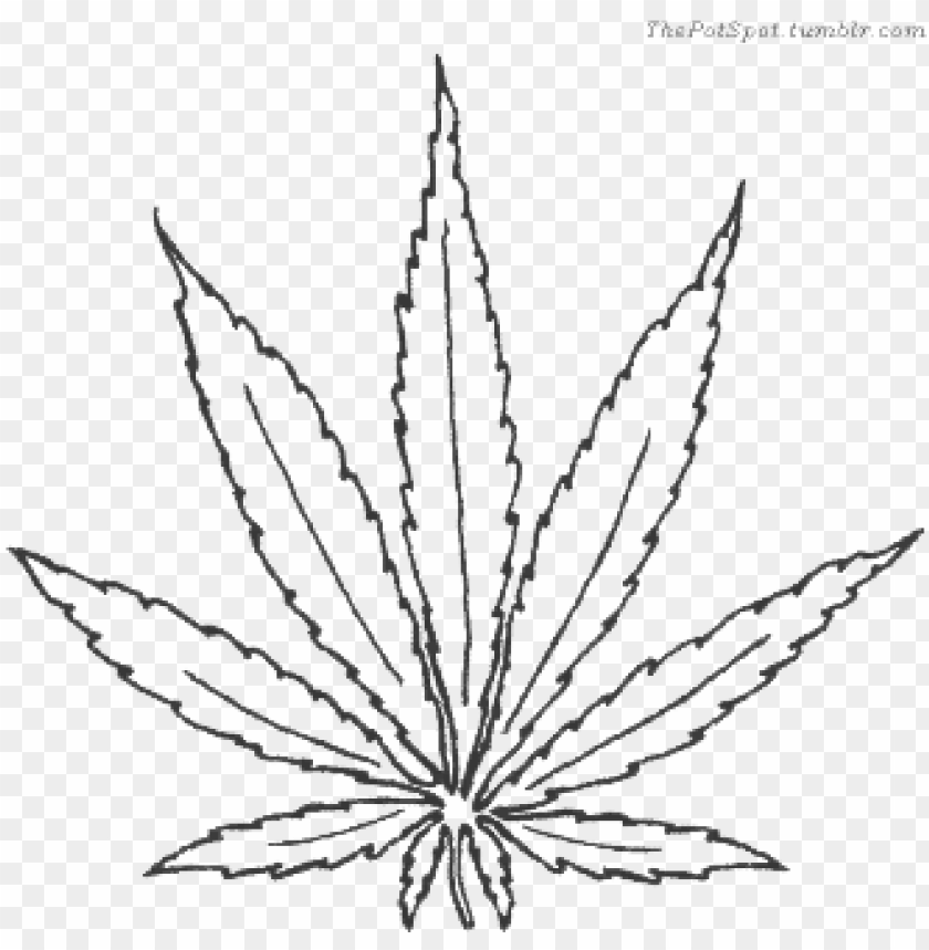 Detail Pot Leaf No Background Nomer 55