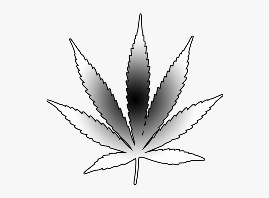 Detail Pot Leaf Outline Png Nomer 13