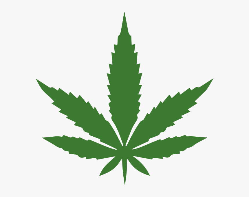 Detail Pot Leaf Transparent Background Nomer 9