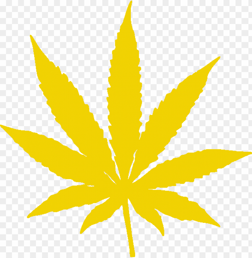 Detail Pot Leaf Transparent Background Nomer 17