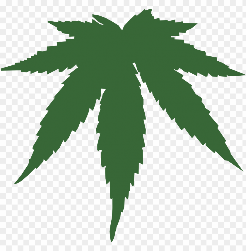 Detail Pot Leaf Transparent Background Nomer 23