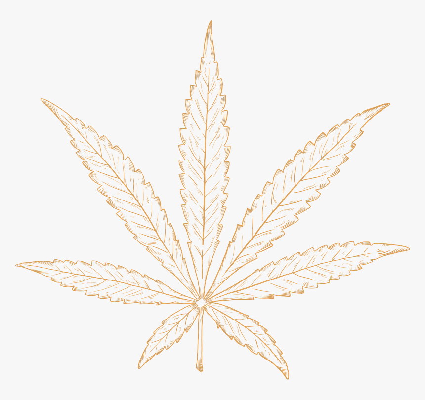 Detail Pot Leaf Transparent Background Nomer 37