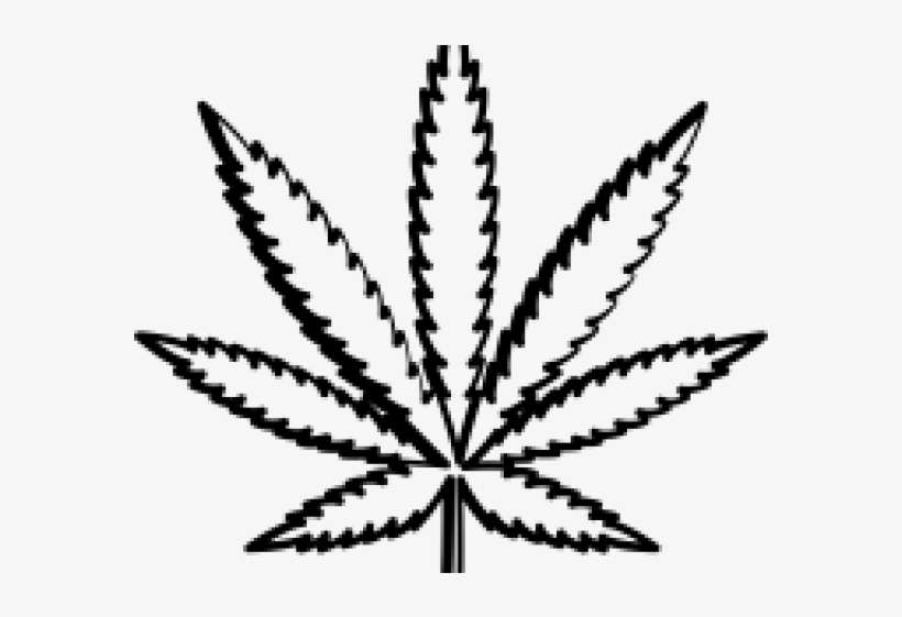 Detail Pot Leaf Transparent Background Nomer 42