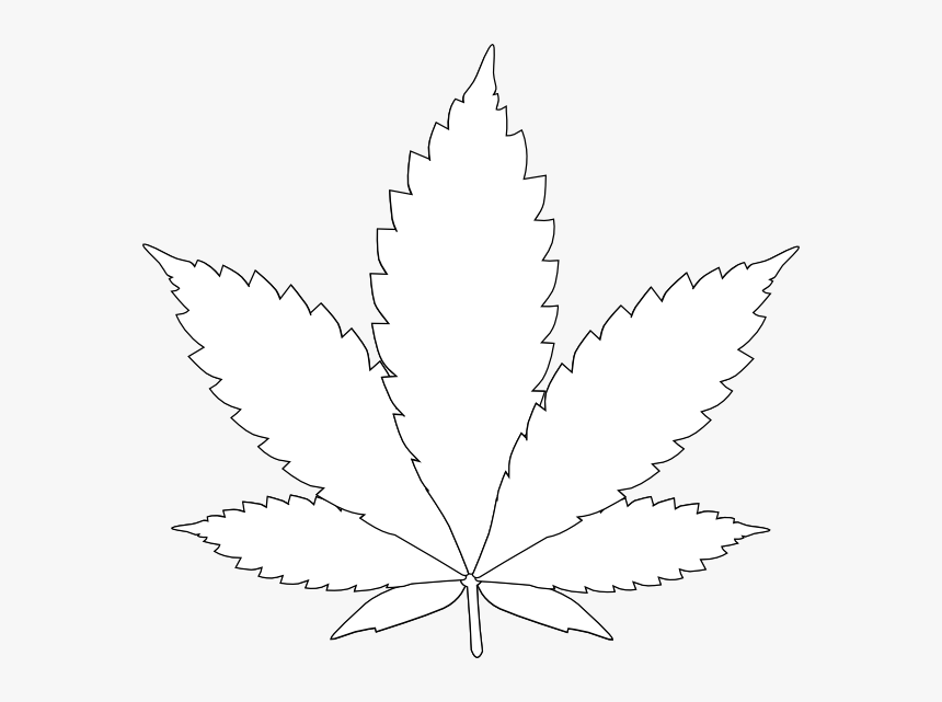 Detail Pot Leaf Transparent Background Nomer 49