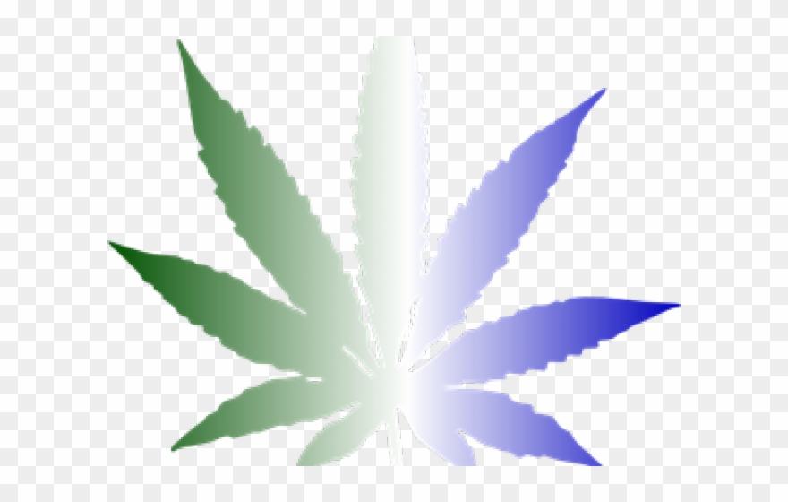Detail Pot Leaf Transparent Background Nomer 52