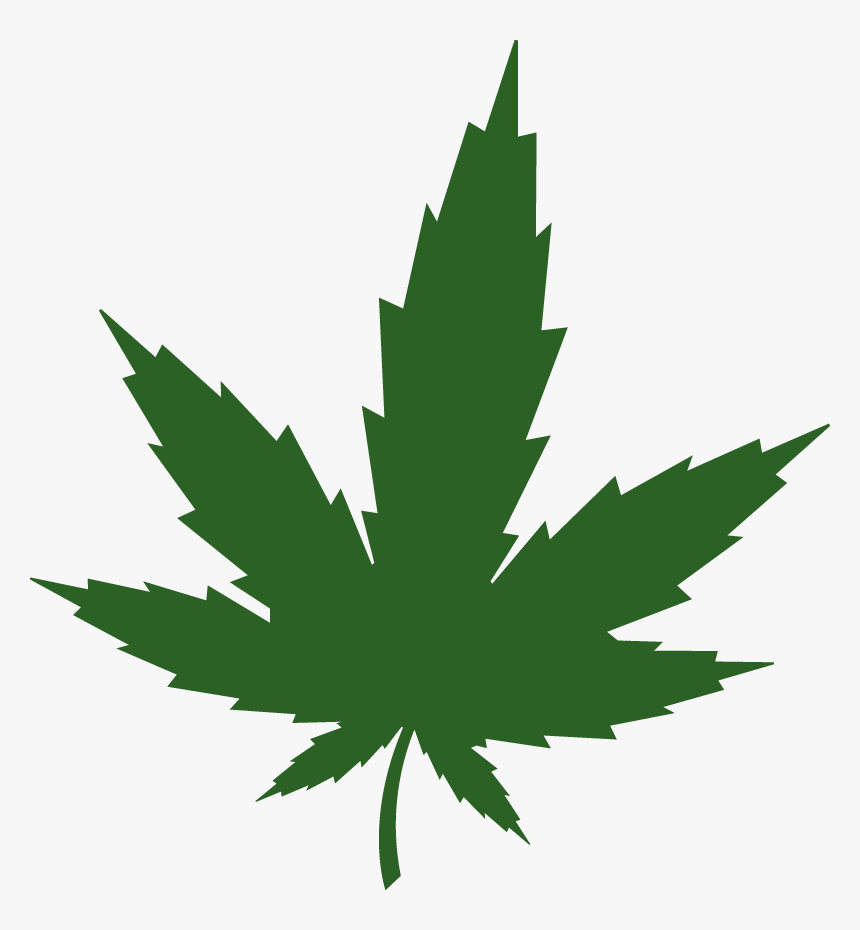 Detail Pot Leaf Transparent Background Nomer 55