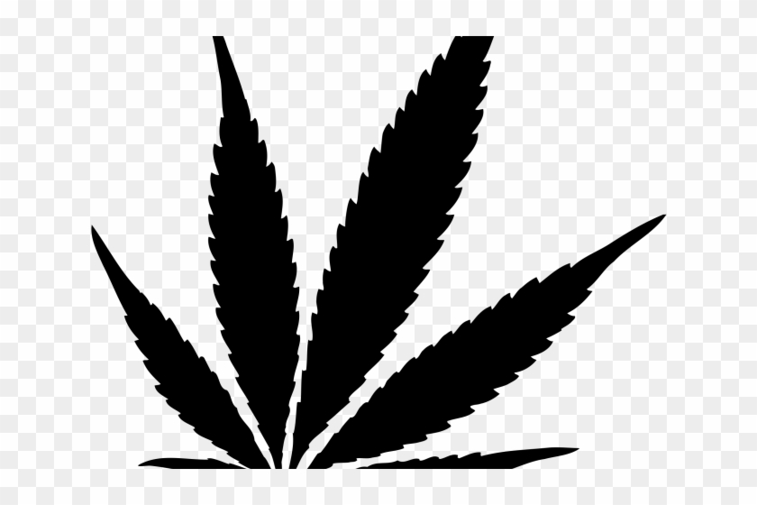 Detail Pot Leaf Transparent Background Nomer 56