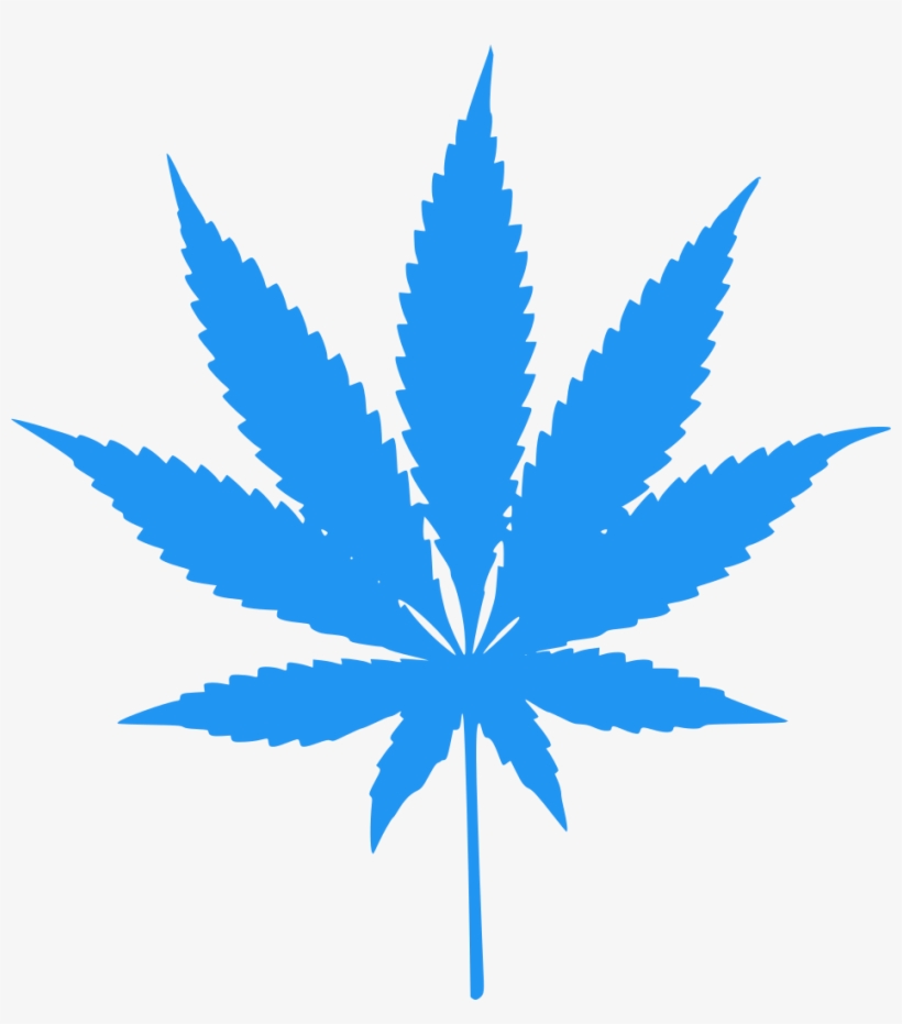 Detail Pot Leaf Transparent Background Nomer 57