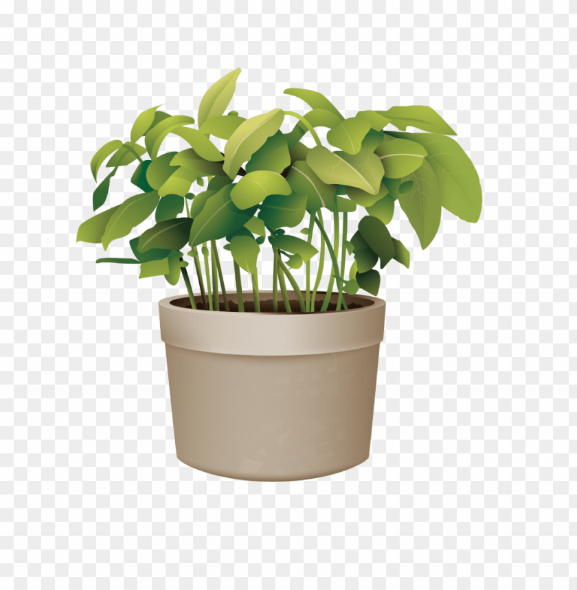 Detail Pot Plant Png Nomer 31