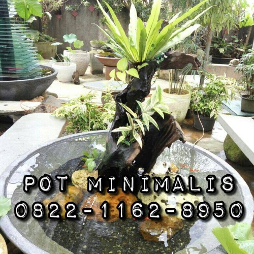 Detail Pot Tanaman Air Nomer 52