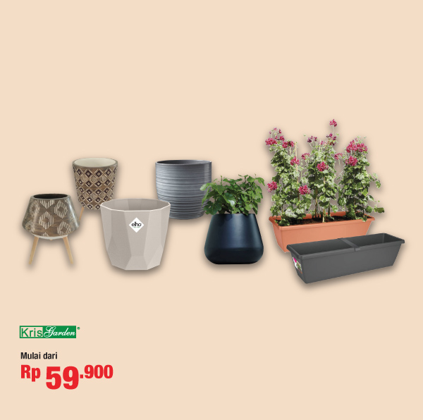 Detail Pot Tanaman Dalam Ruangan Nomer 43