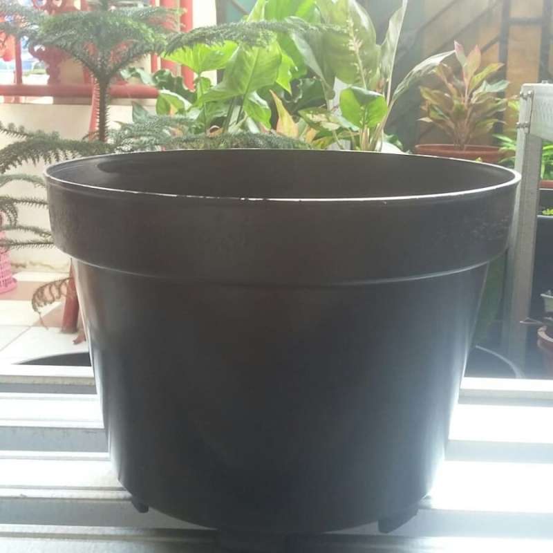 Detail Pot Tanaman Dari Plastik Nomer 7