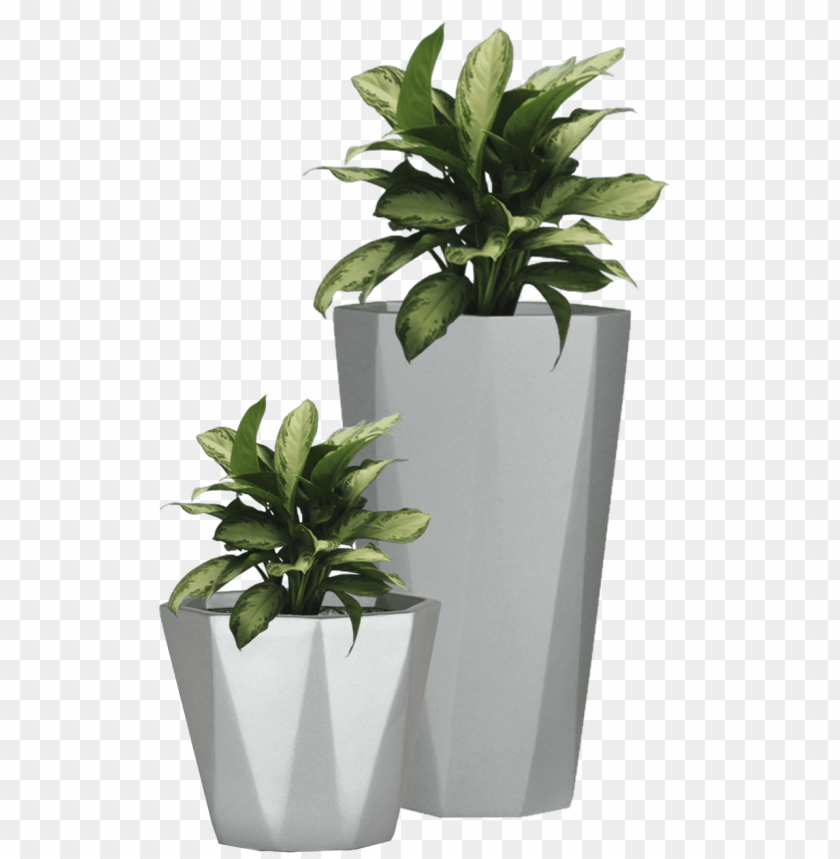 Detail Pot Transparent Background Nomer 32