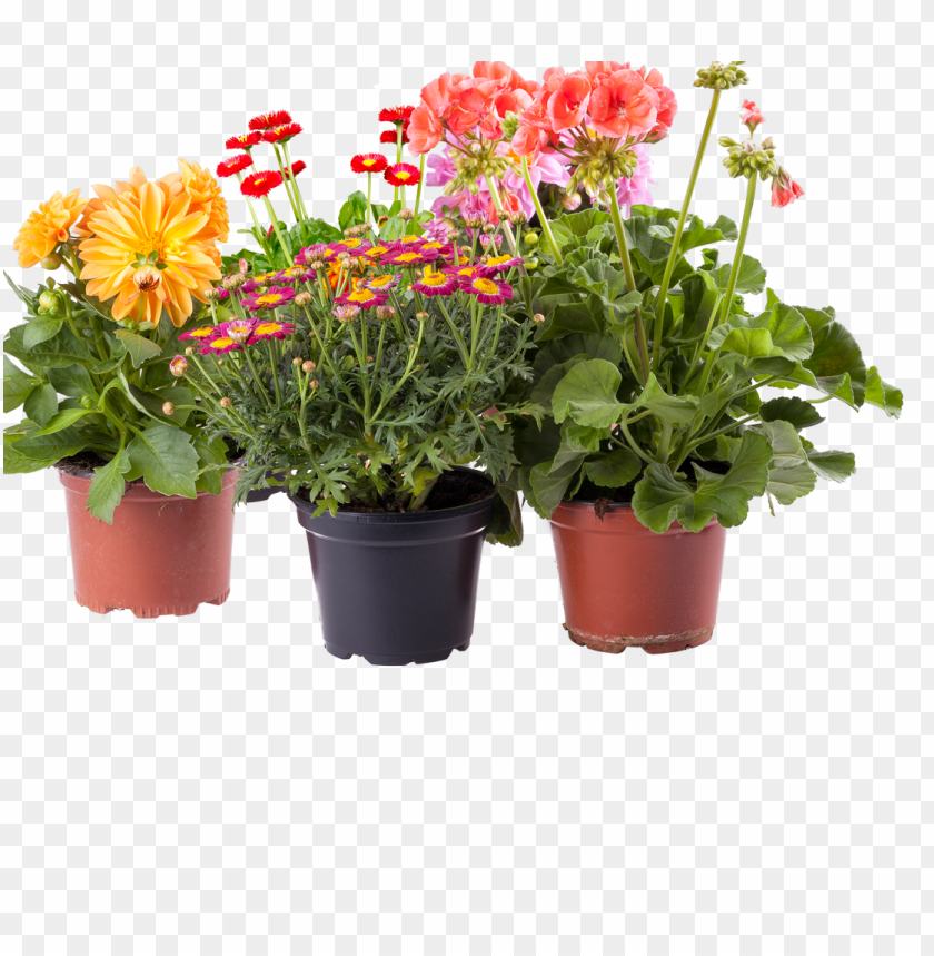 Detail Pot Transparent Background Nomer 49