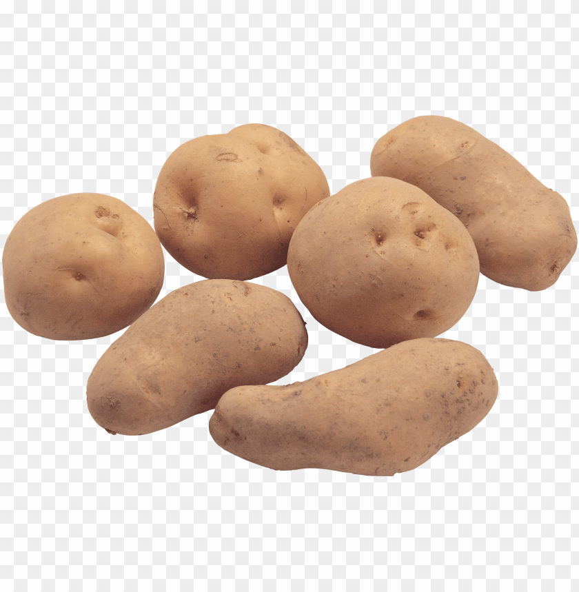 Detail Potato Clipart Nomer 31