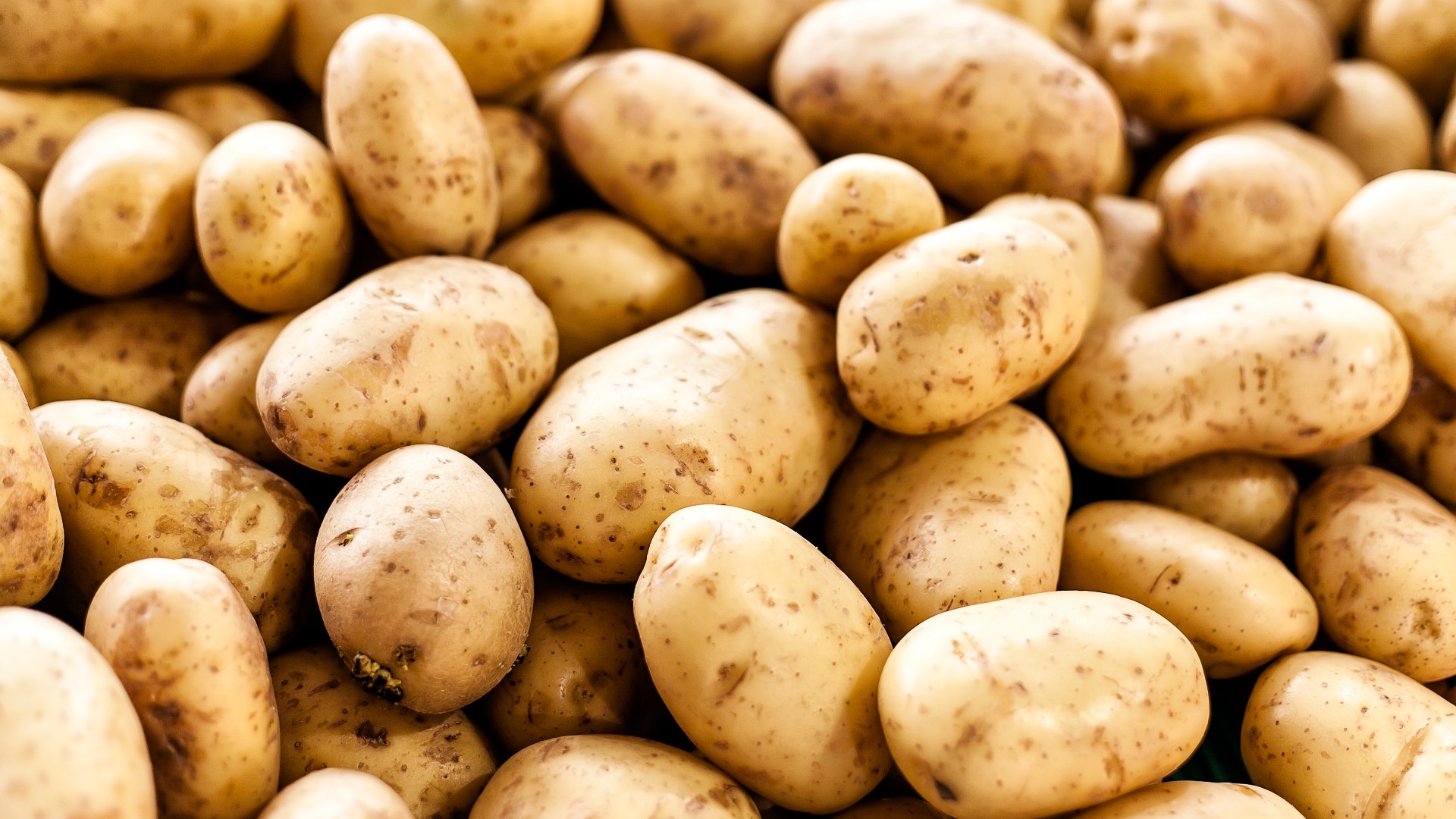 Download Potato Image Nomer 3
