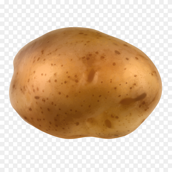 Detail Potato Transparent Nomer 2