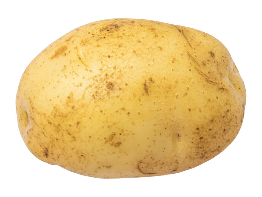 Detail Potato Transparent Nomer 3