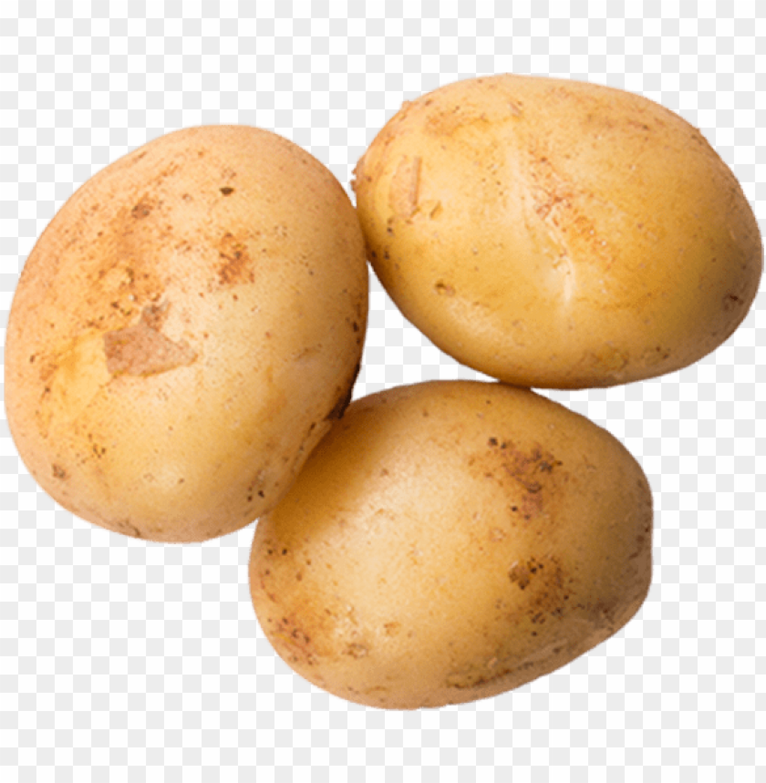 Detail Potato With Transparent Background Nomer 15