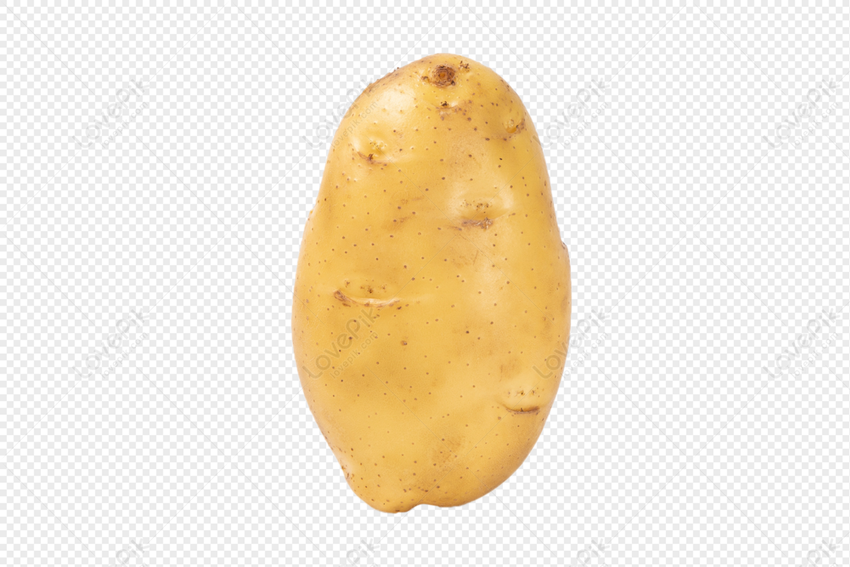 Detail Potatoe Png Nomer 18