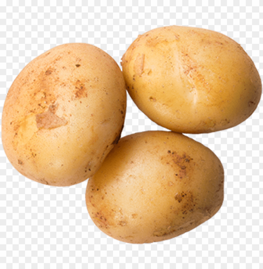 Detail Potatoe Png Nomer 40
