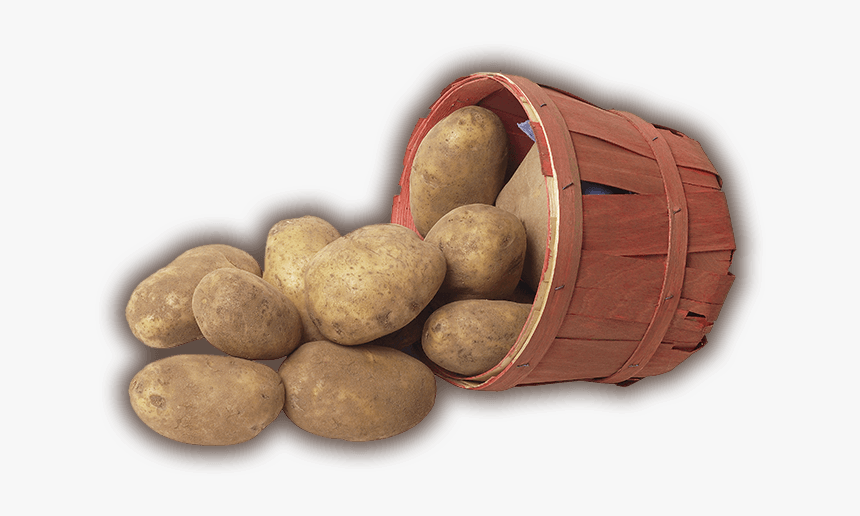 Detail Potatoes Download Nomer 46