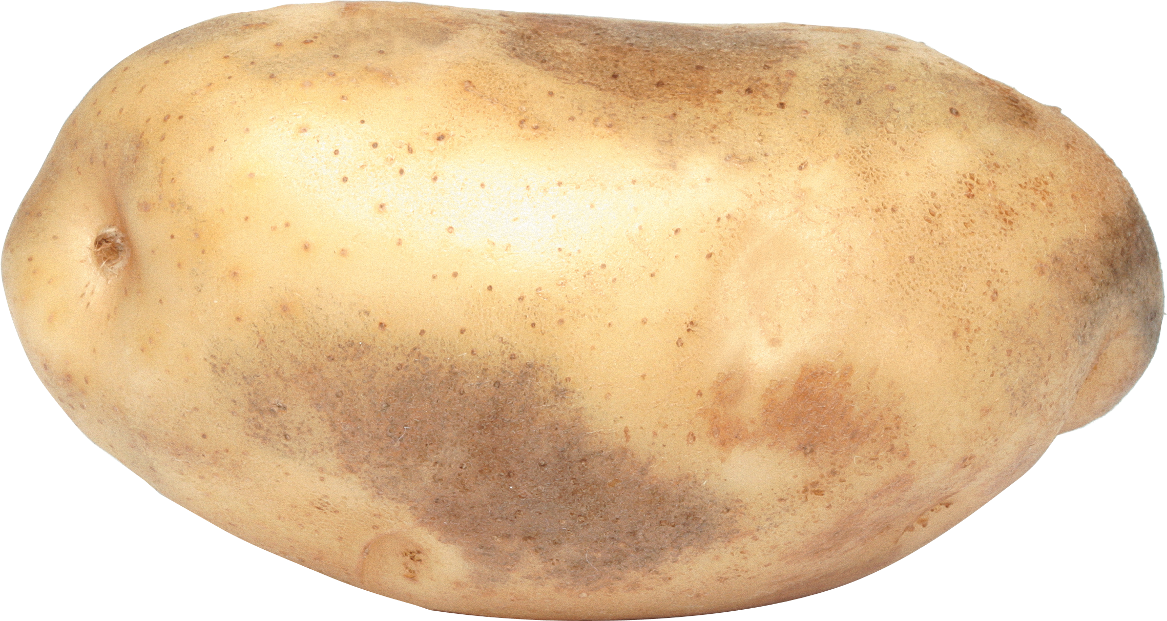 Detail Potatoes Png Nomer 34