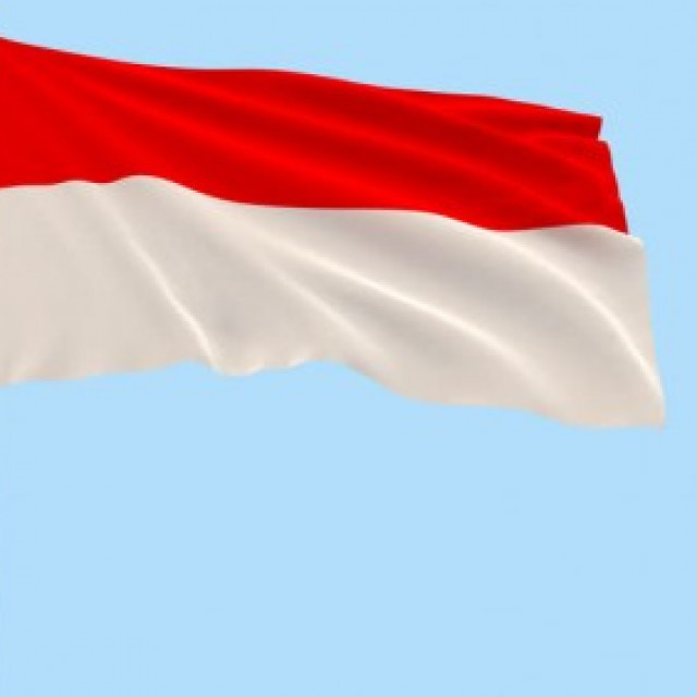 Detail Poto Bendera Merah Putih Nomer 13