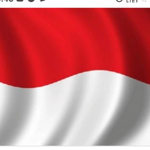 Detail Poto Bendera Merah Putih Nomer 15