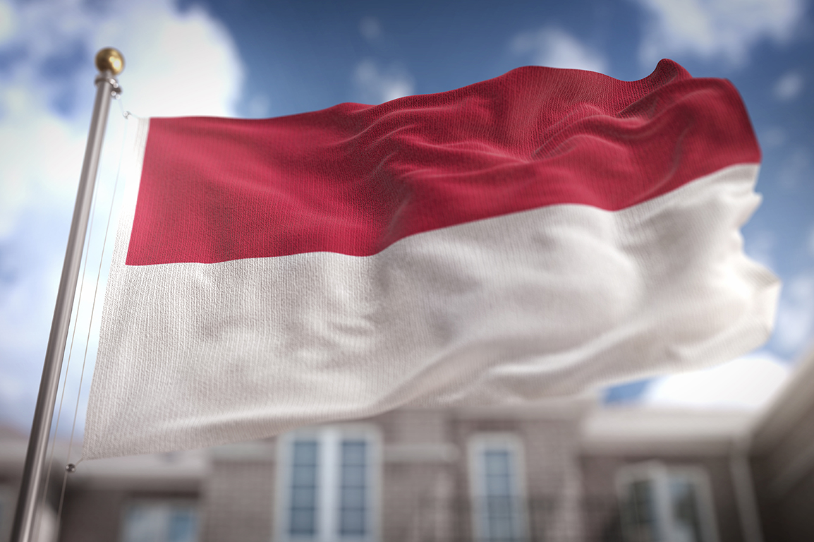 Detail Poto Bendera Merah Putih Nomer 46