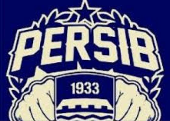 Detail Poto Gravity Persib Nomer 24