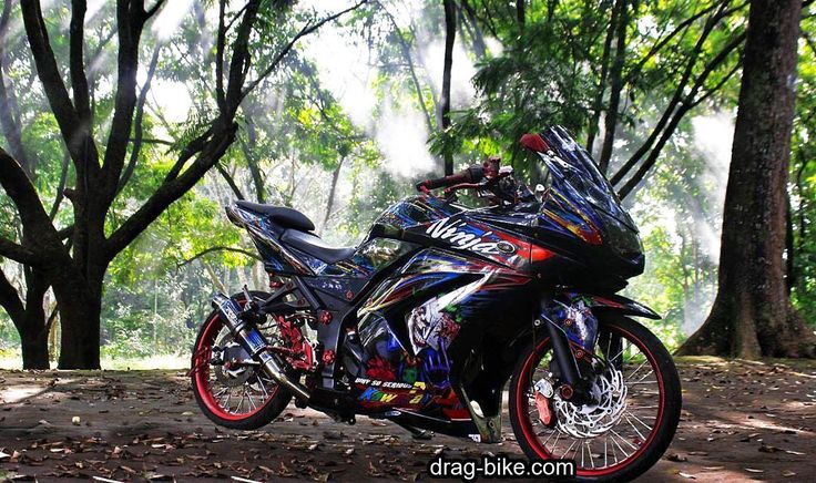 Detail Poto Modifikasi Ninja Nomer 18