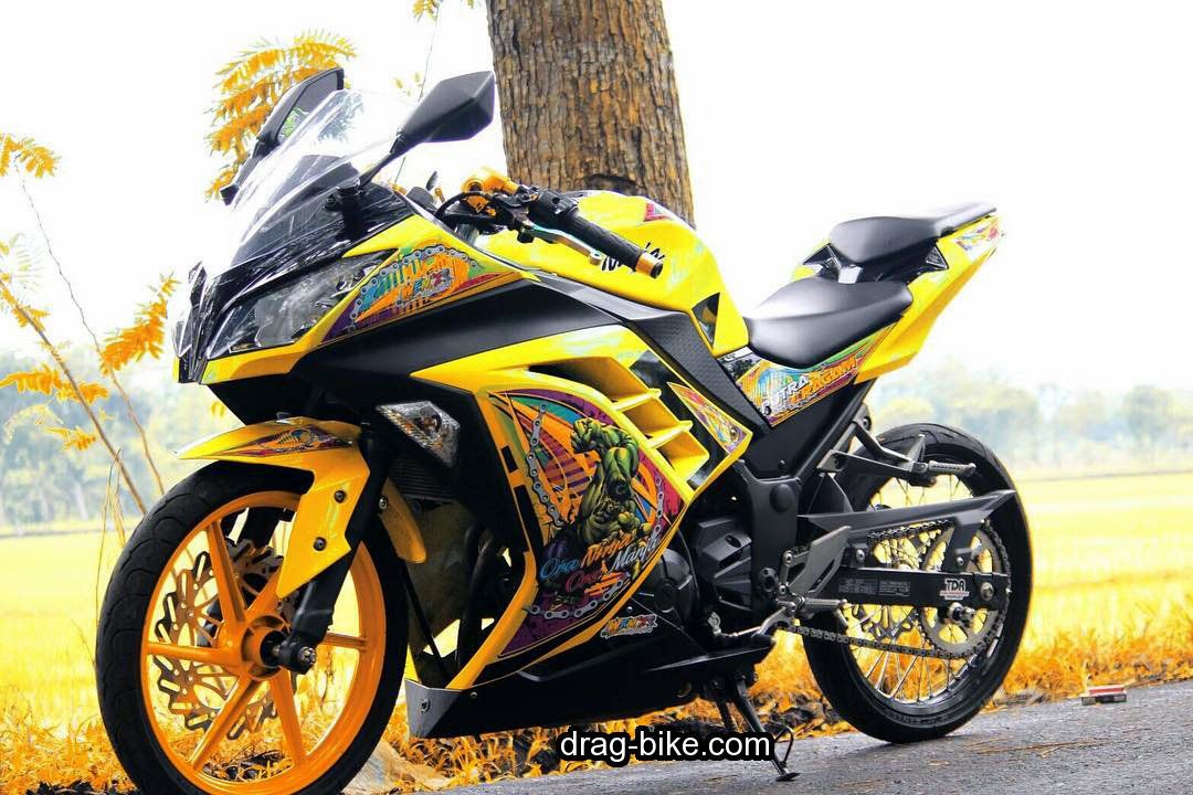 Detail Poto Modifikasi Ninja Nomer 4