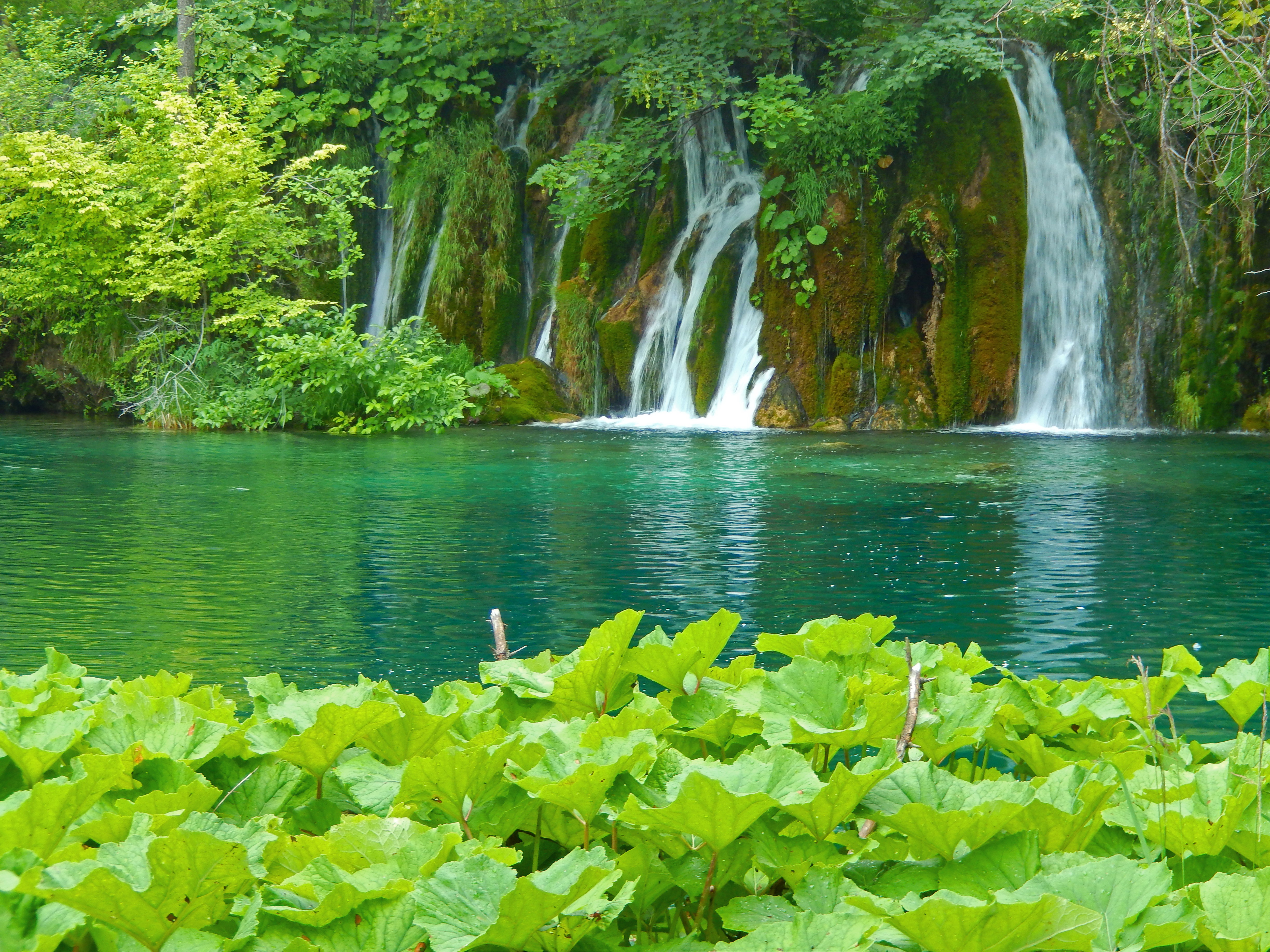 Detail Poto Pemandangan Air Terjun Nomer 12